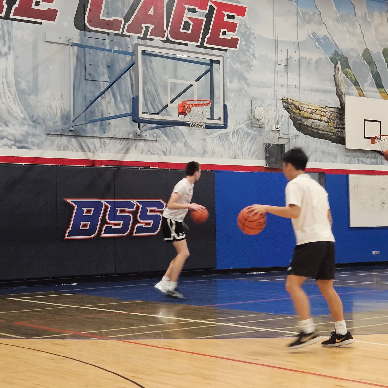 New West Eagles — Remembrance Day Tourney, 2024